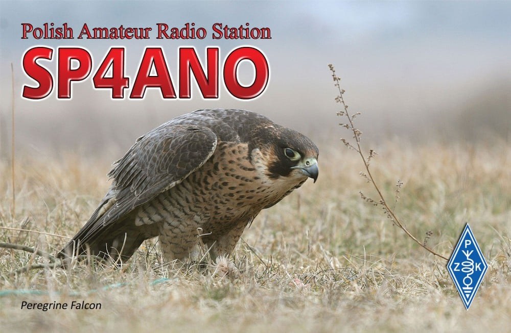 QSL card example