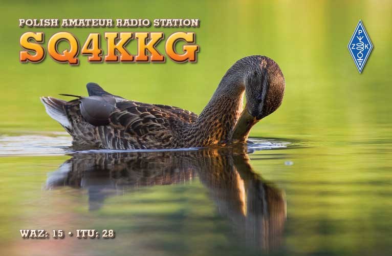 QSL card example