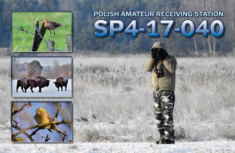 QSL card example