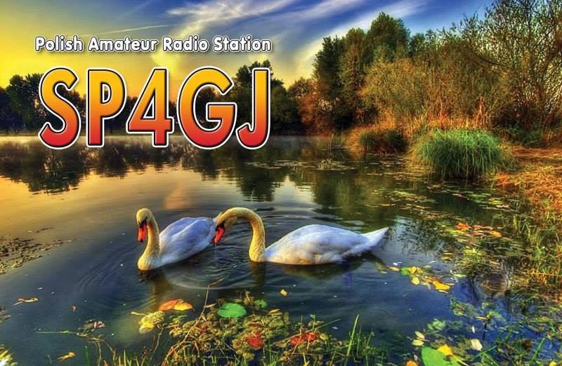 QSL card example